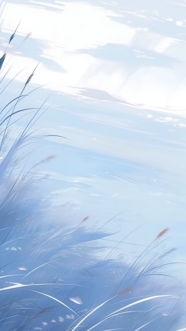 立冬小雪节气雪地里的芦苇丛背景图片