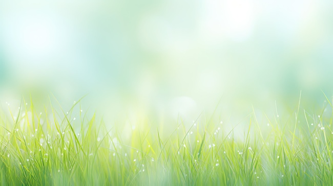 水珠清新绿色草地特写阳光光斑绿色草地春天清新风景美丽的大自然青草植物图片