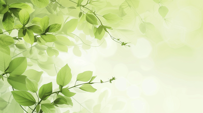 春季绿色树叶清新背景6图片