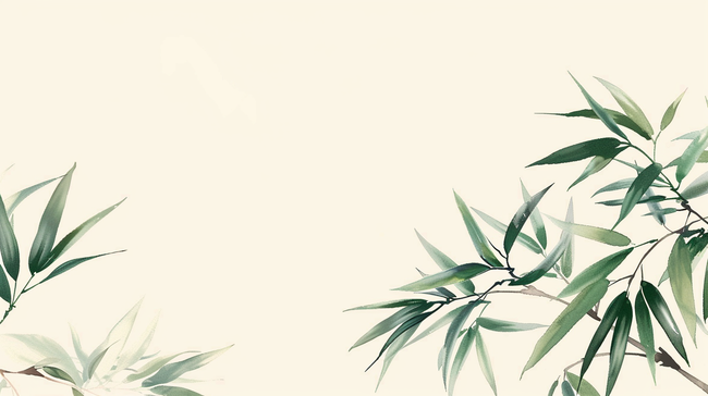 国风端午节水墨竹子竹叶背景图片
