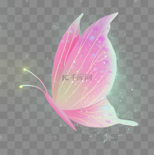 梦幻动物粉色星空蝴蝶图片