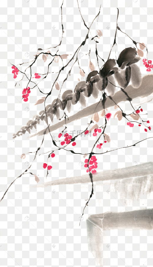 枣树