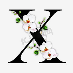 水墨花朵免抠艺术字图片_奢华大牌中国风花朵字母X装饰