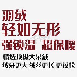 淘宝女装女装免抠艺术字图片_羽绒淘宝字体排版