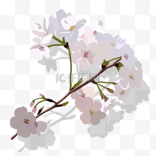 樱花花枝PNG素材图片