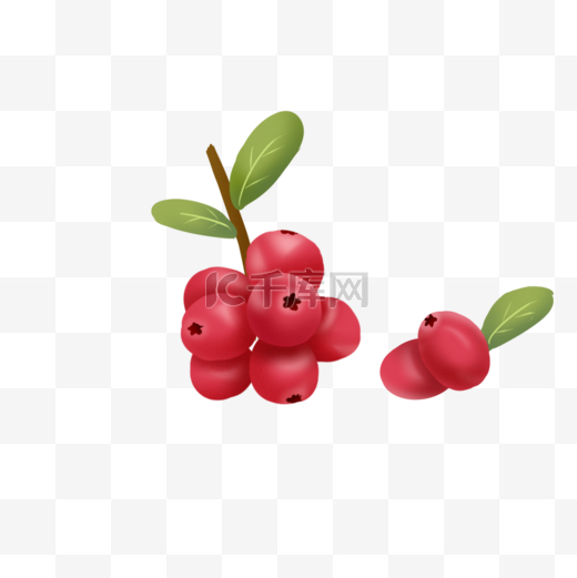 红色蔓越莓水彩风插画矢量图片