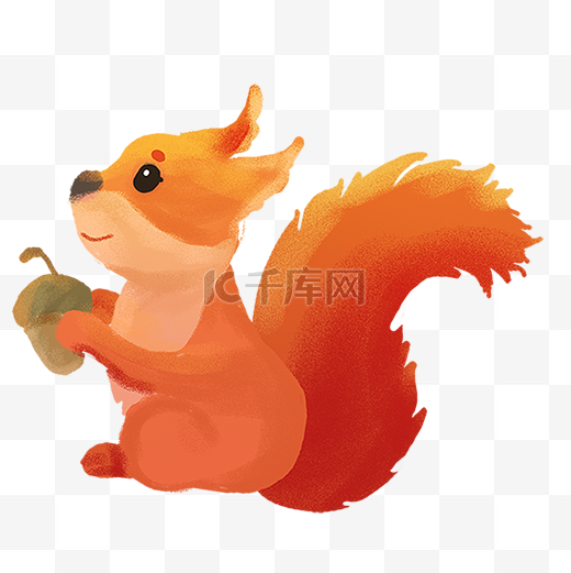 立秋啃松子的小松鼠图片