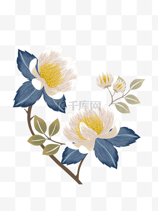 手绘花昙花简笔画小清新图片