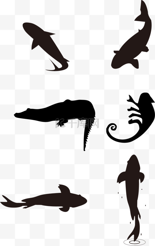 鱼鲨鱼海豚鳄鱼蜥蜴变色龙剪影图片