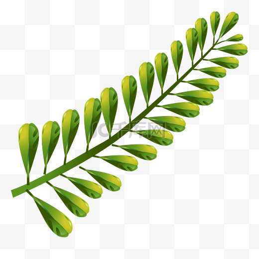 绿色植物一串叶子图片