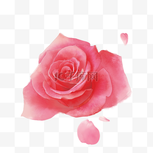 情人节水彩手绘玫瑰图片