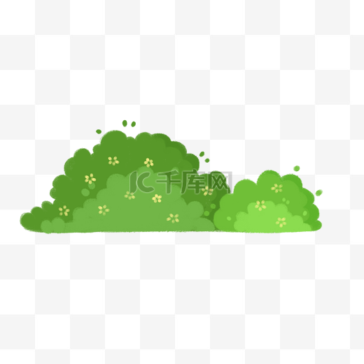 春季绿色的一簇草丛图片