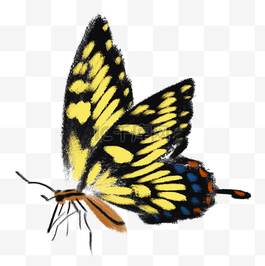 黄色的手绘蝴蝶装饰图片