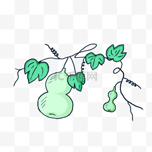 手绘绿色生长的葫芦图片