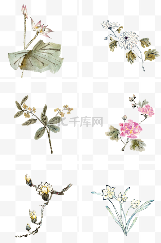 中国古风花卉插画图片