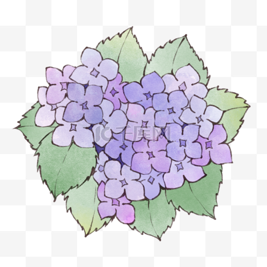 水彩水墨装饰清新小花绣球花素材紫蓝红色绿色图片