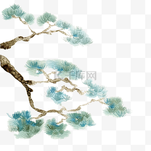中国古风手绘水彩植物松柏插画图片