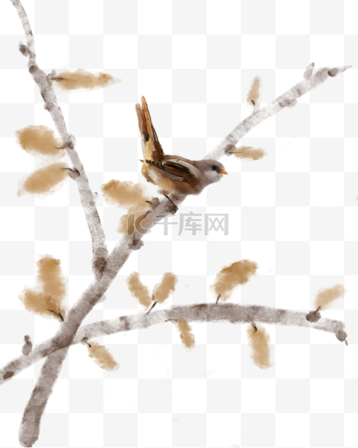 手绘鸟和树枝插画图片
