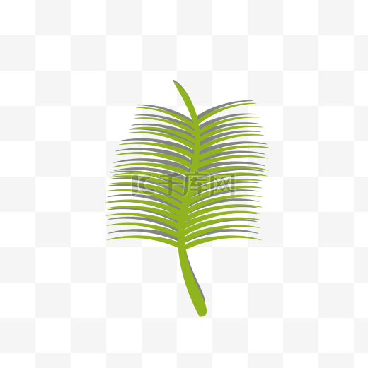 热带植物棕榈叶矢量图图片