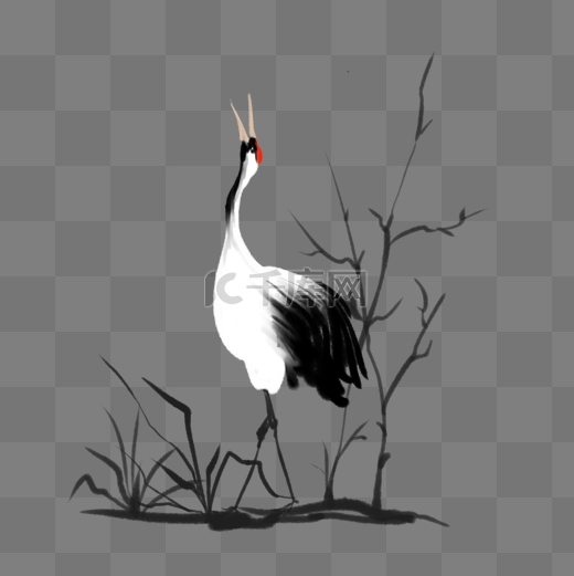 黑色的水墨丹顶鹤插画图片