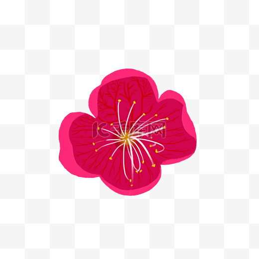小物插画花卉一朵梅花免扣素材图片