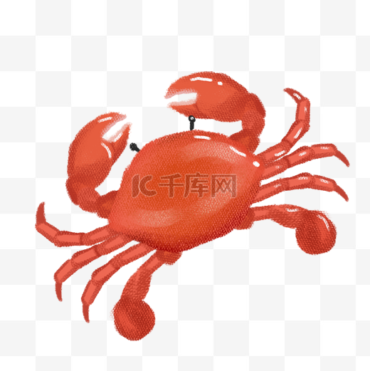 海鲜梭子蟹螃蟹插画图片