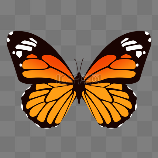 橙色手绘蝴蝶PSD免抠图图片