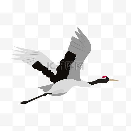 手绘飞翔的白鹤插画图片
