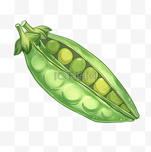 手绘蔬菜豌豆荚插画图片
