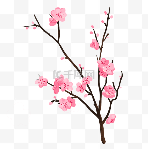 梅花粉色花花卉图片