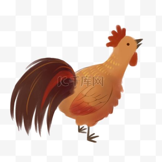 家乡公鸡动物卡通图片