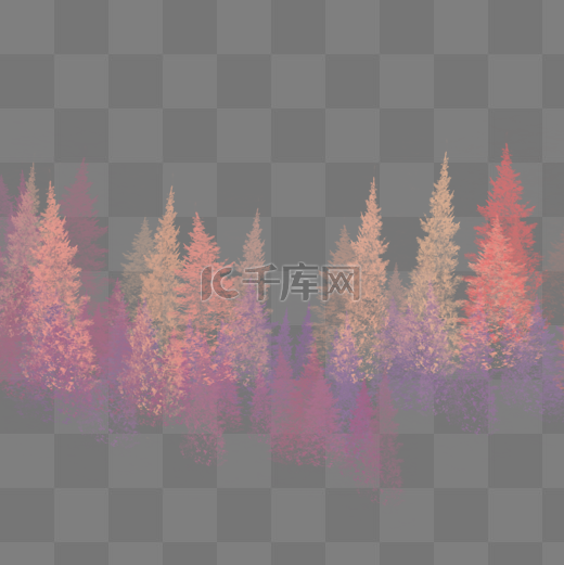大雪天里的紫红杉树森林免费素材图片