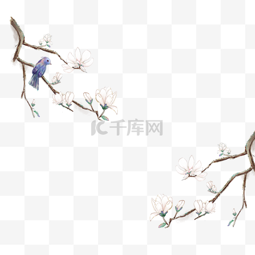 白玉兰中国风花鸟边框图片