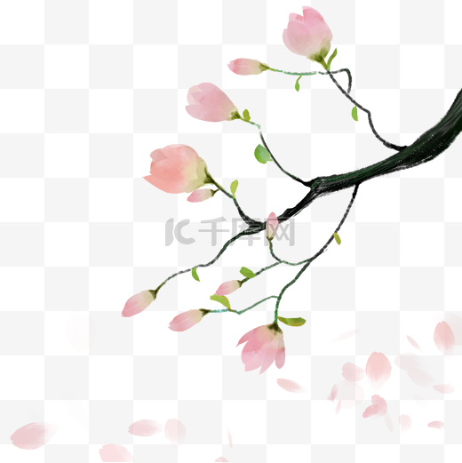 唯美水彩中国风玉兰花图片