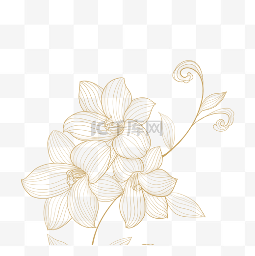 金线描花卉植物图片