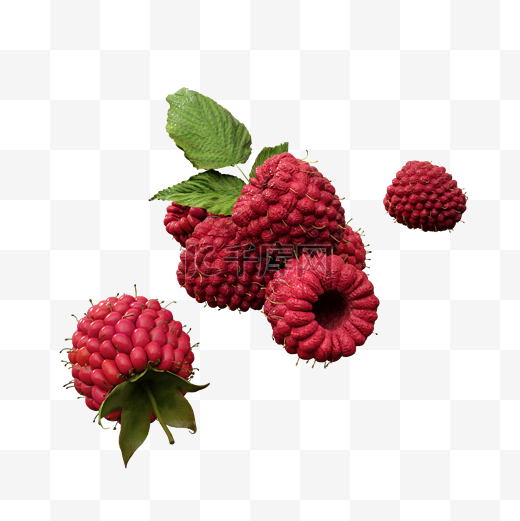 覆盆子红莓图片