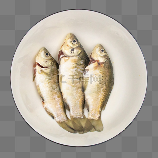 小鱼鱼肉带鱼图片