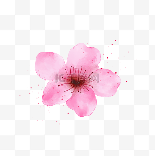 一朵粉红色的桃花图片