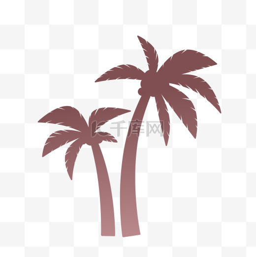 椰子椰子树图片