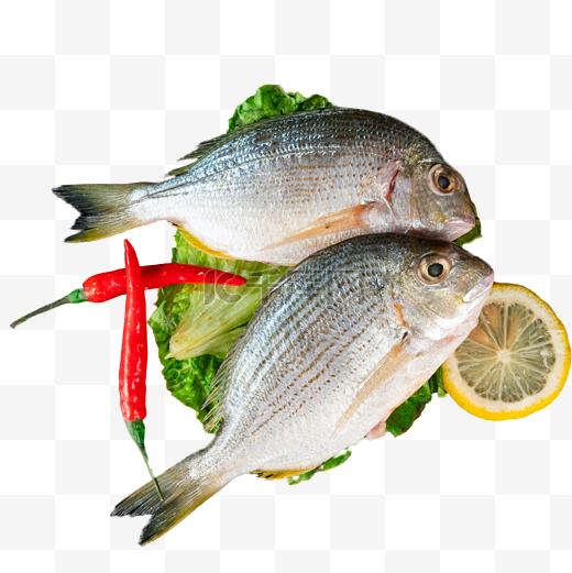 海鲜斑头鱼食材图片