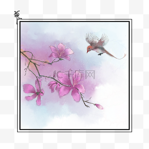 南方春季花卉紫荆花中国风花鸟边框图片