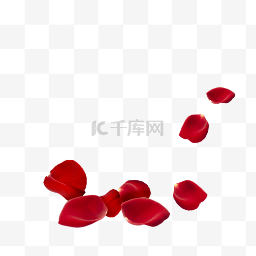 红色漂落玫瑰花瓣图片