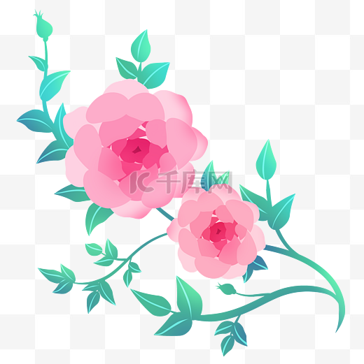 粉色花朵花藤插画图片
