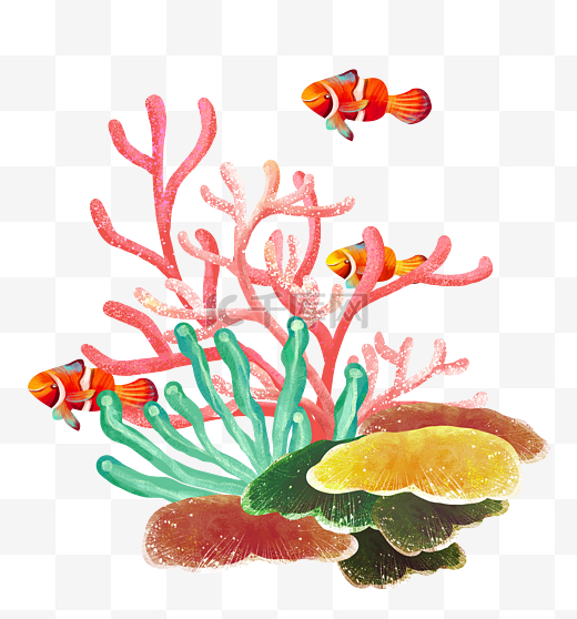 夏天五彩大海海洋海底海珊瑚鱼图片