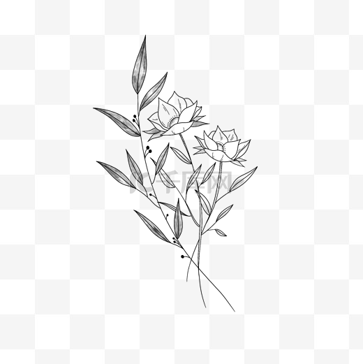 黑白手绘花与橄榄枝图片