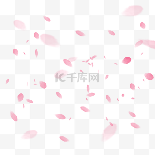 樱花雨漂浮图片