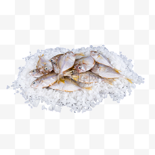 海鲜水产冷鲜油叶鱼图片