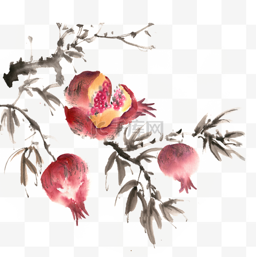 秋冬水果枝头的石榴图片