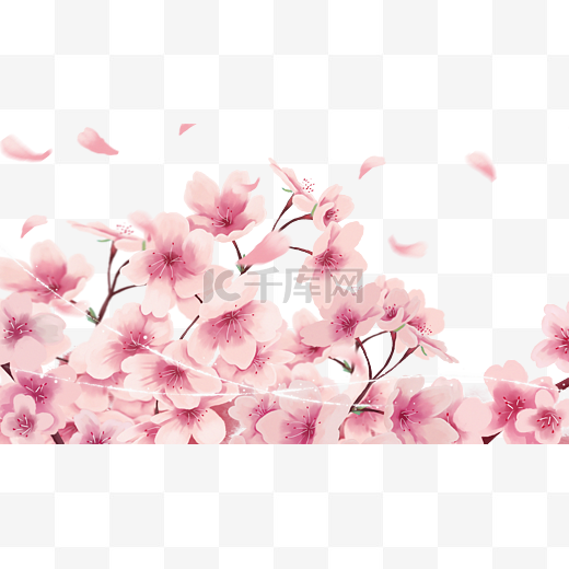 樱花节春天樱花图片
