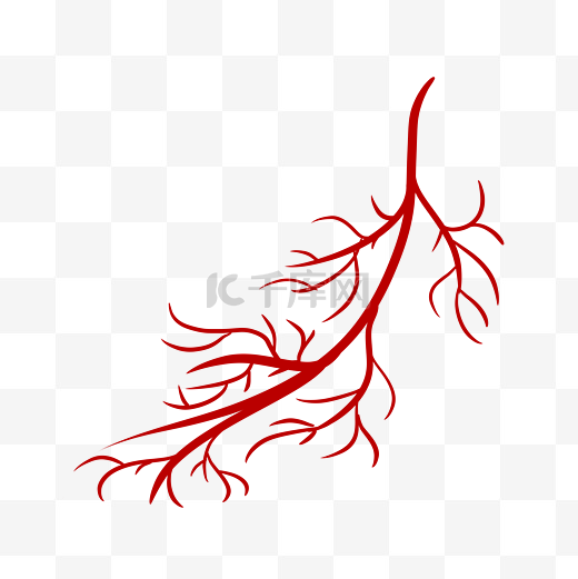 毛细血管图片